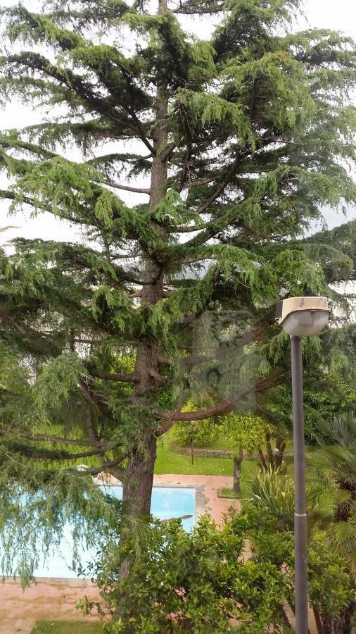 Casa Carolina B&B Сорренто Экстерьер фото