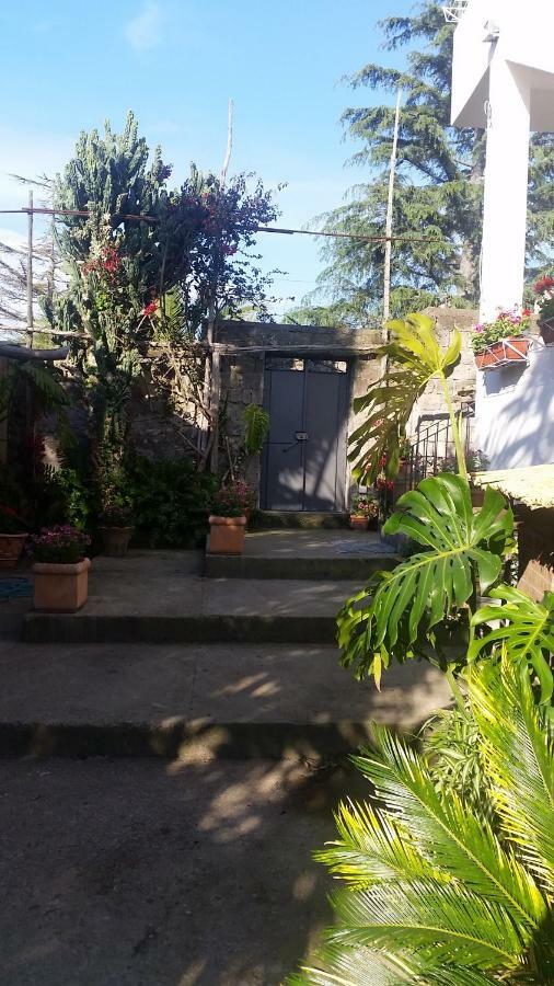 Casa Carolina B&B Сорренто Экстерьер фото