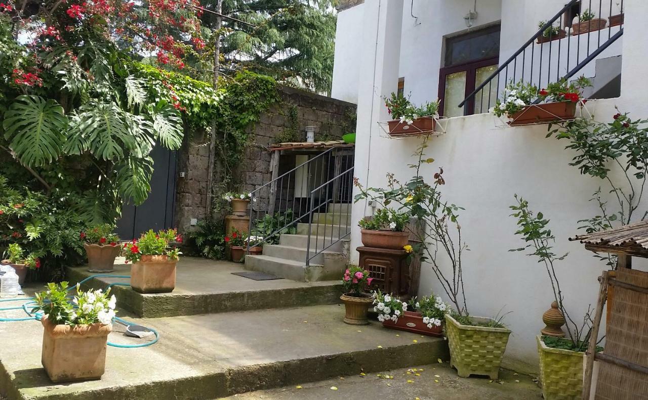 Casa Carolina B&B Сорренто Экстерьер фото