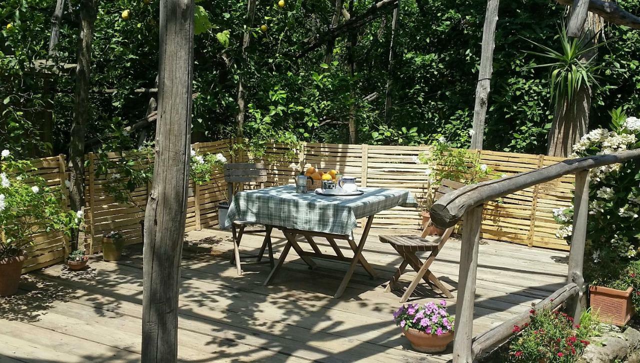 Casa Carolina B&B Сорренто Экстерьер фото