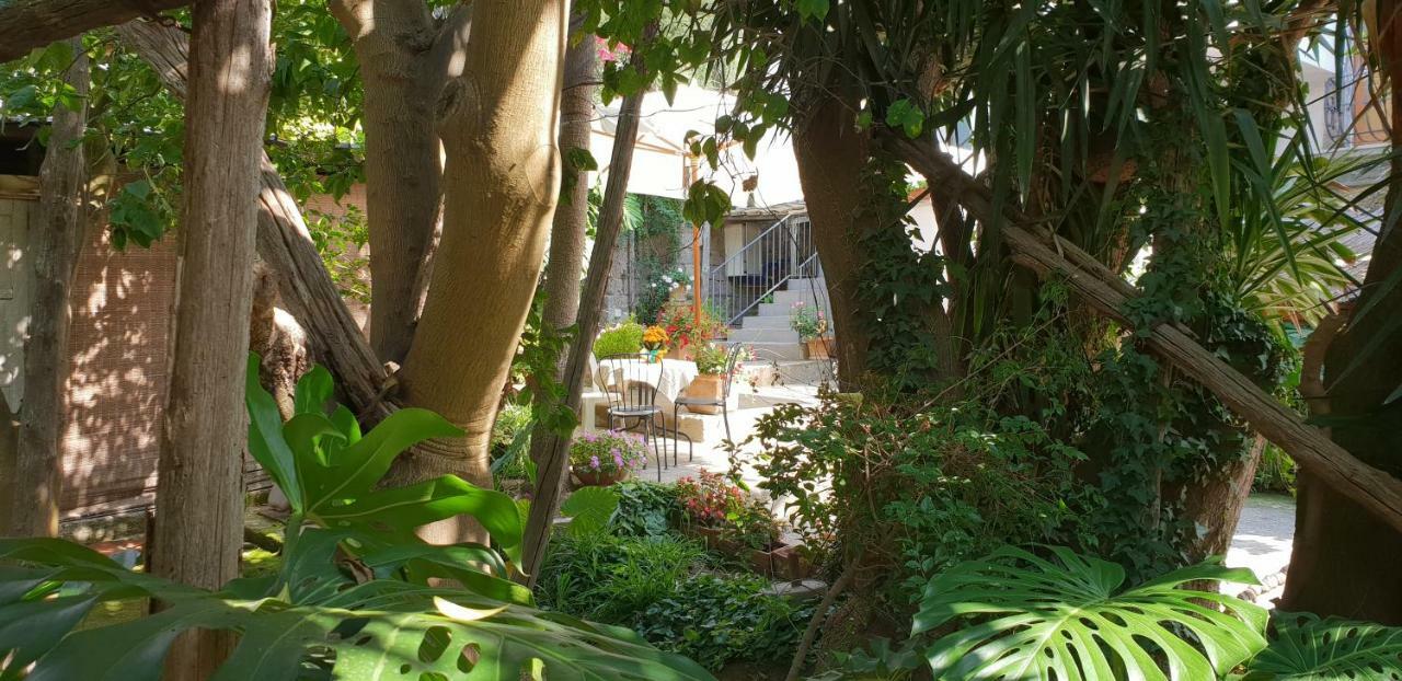 Casa Carolina B&B Сорренто Экстерьер фото